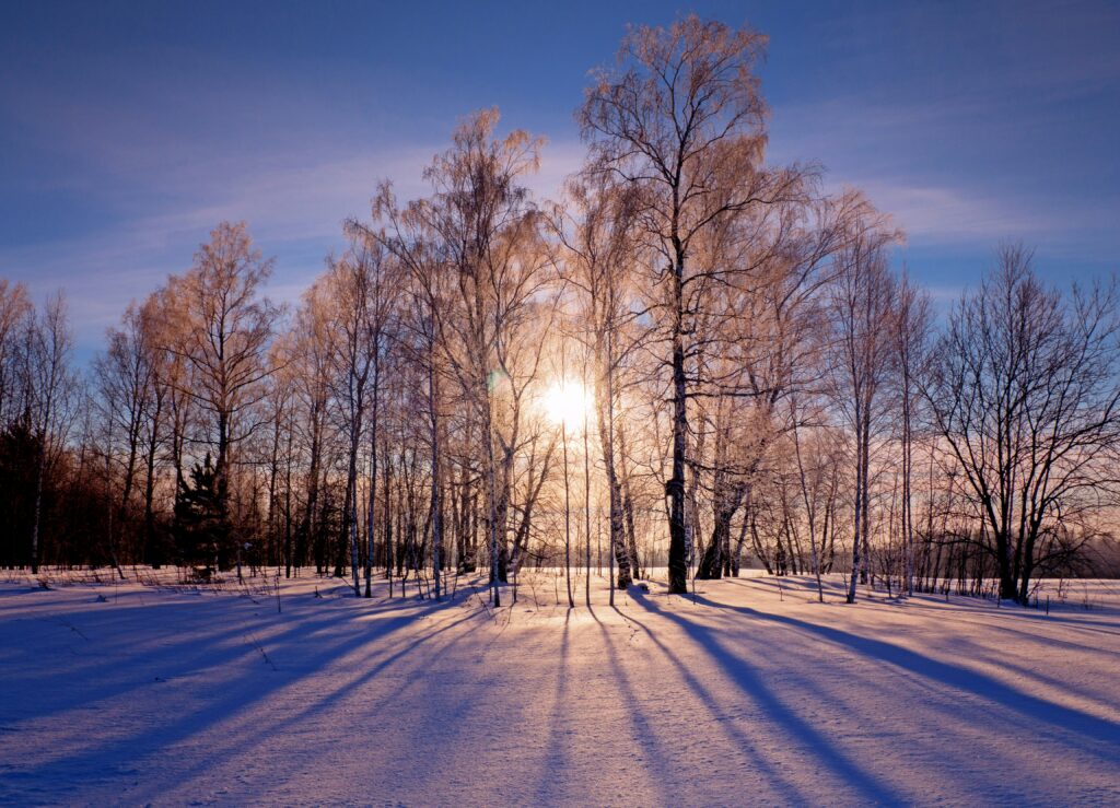 andrey haimin 4wwv8miqc6m unsplash